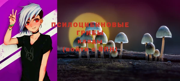 2c-b Вязьма